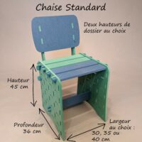 Chaise Adulte Temo Bicolore